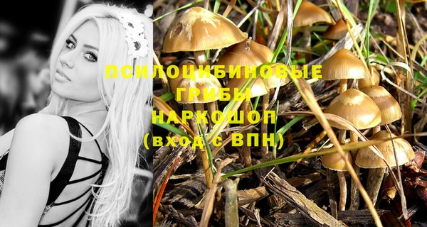 бутират Богородицк